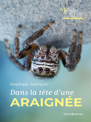 cover image of Dans la tête d'une araignée